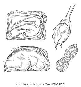 Peanut butter and ingredient for peanut butter toast sketch. Hand drawn collection. Vector illustration.
