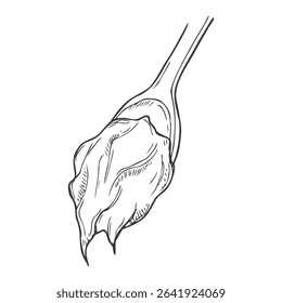 Peanut butter spoon hand drawn. spread cream, bread hazelnut, jar bowl, knife butter, nut creamy chocolate paste spoon vector sketch. isolated black illustration