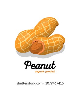 Peanut in cartoon style. Nut Illustration for template label, packing and emblem farmer market design. Nut food of  peanut icon.