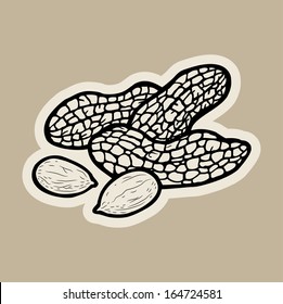 peanut cartoon vector.