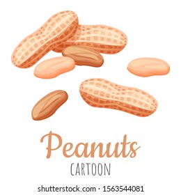Peanut cartoon vector illustration, isolated close-up realistic colorful nut.