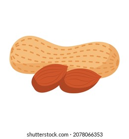 peanut cartoon vector isolated object