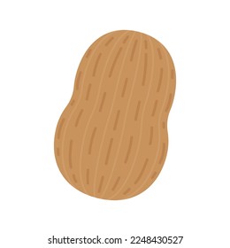 Peanut cartoon vector. Peanut on white background.