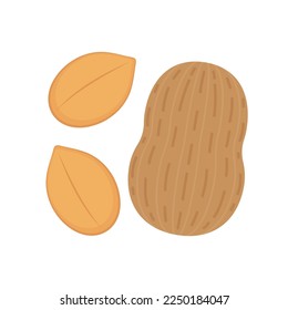 Peanut cartoon vector. Peanut on white background.