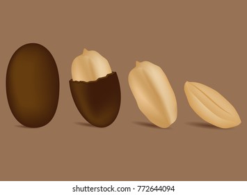 peanut with chocolate