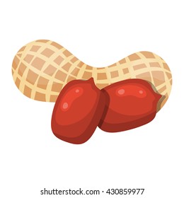 Peanut colorful icon