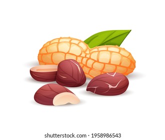 Peanut composition, side view. Whole and cracked nuts, hulled and raw kernels and green leaves. Good for labels and stickers, packaging design. Vector illustration in cartoon style