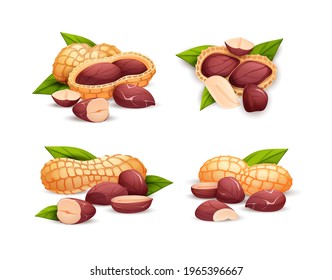 Peanut compositions set, side and top view. Whole and cracked nuts, hulled and raw kernels and green leaves. Good for labels and stickers, packaging design. Vector illustration in cartoon style