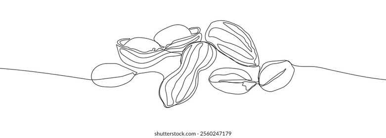 Peanut continuous line drawing vector illustration. Nut illustration. Peeled and unshelled peanuts