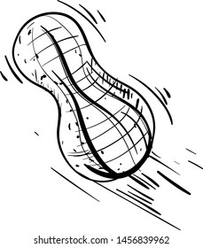 Peanut drawing, illustration, vector on white background