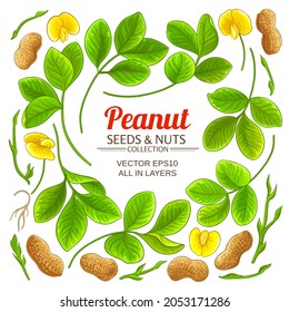 peanut elements set on white background