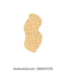 peanut flat design vector illustration isolated on white background. Superfood and vegan protein source concept. Perfect for dietary vegetarian guides and food packaging