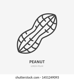 Peanut flat line icon. Vector thin sign of nut, healthy food outline illustration.