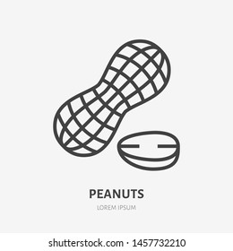 Peanut flat line icon. Vector thin sign of nut, healthy food outline illustration.