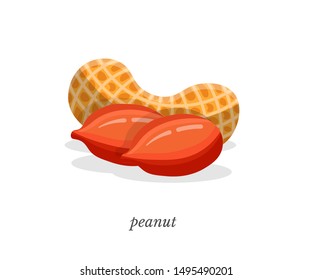 Peanut flat vector illustration with typography. Delicious organic snack, natural product. Unbroken nutshell and nut kernel closeup. Vegan food ,healthy nutrition, vitamin diet. Tasty protein meal