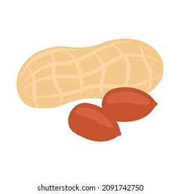 Peanut full in shell and open nut bean. Nut peanut healthy food harvesting. Natural protein. Vector illustration
