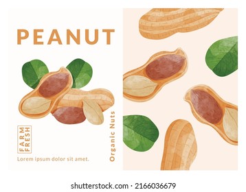 Peanut or Groundnut packaging design templates, watercolour style vector illustration.