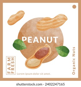 Plantillas de diseño de embalajes de cacahuetes o maní, ilustración vectorial de estilo acuarela.