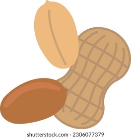 peanut,  groundnut, peanutvector, vector