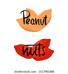 Peanut hand drawn modern brush lettering text. Vector illustration for webpage, print and advertising