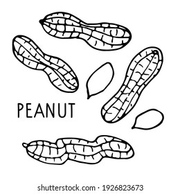 24,041 Peanut Black And White Images, Stock Photos & Vectors | Shutterstock