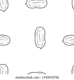 Peanut hand drawn vector seamless pattern. Outline monochrome texture made in doodle style.Fruit 
background for package, merch, wallpaper, menu and other design.