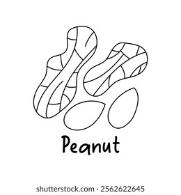 Peanut. Healthy organic food, nuts. Products for snack. Line icons. Hand drawn sketches, doodle, vector illustration.