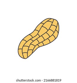 Peanut icon in color, isolated on white background 