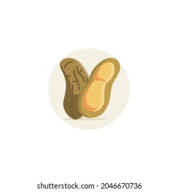Peanut icon designed in color flat style in fruit and food illustration theme