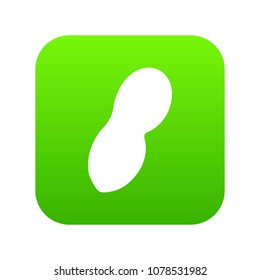 Peanut icon digital green for any design isolated on white vector illustration