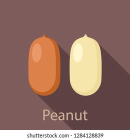 Peanut icon. Flat illustration of peanut vector icon for web design
