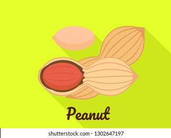 Peanut icon. Flat illustration of peanut vector icon for web design