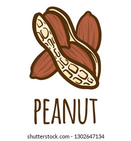 Peanut icon. Hand drawn illustration of peanut vector icon for web design