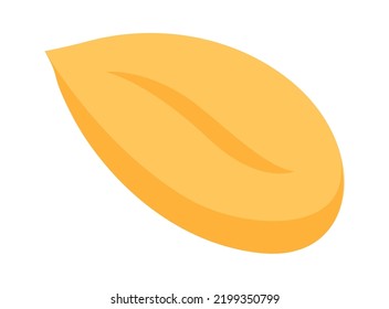 Peanut Icon. Healthy Food. Vector Illustration