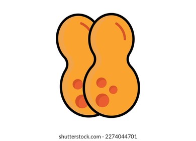 Peanut icon illustration. icon related to nuts. Two tone icon style, lineal color. Simple vector design editable