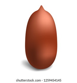 Peanut icon. Realistic illustration of peanut vector icon for web design