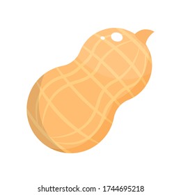 peanut icon. snack food. delicious beans. vector