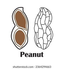 Diseño de símbolo de la ilustración del vector del icono de cacahuete