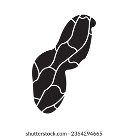 Peanut icon vector illustration symbol design