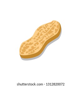 Peanut icon vector image