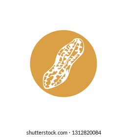 Peanut icon vector image