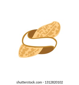 Peanut icon vector image