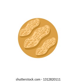 Peanut icon vector image