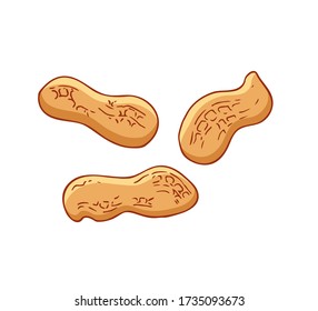 Peanut icons isolated on white background. Flat style vector illustration. 