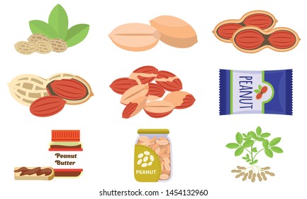 Peanut icons set. Flat set of peanut vector icons for web design