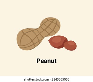 Peanut illustration set. Vegetable Vector drawing. Hand drawn style.