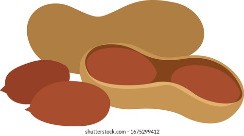 Peanut, illustration, vector on white background.