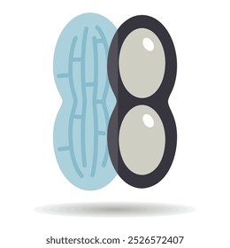Ícone de vetor de design isolado de amendoim. Sinal de legumes. Símbolo gráfico para site de alimentos e bebidas, design de aplicativos, aplicativos móveis e mídia impressa, logotipo, UI