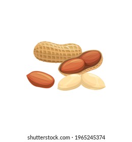 Peanut isolated groundnut peeled and unpeeled realistic icon. Vector peanut oil, butter flour ingredient, vegetarian food. Monkey nut or goober, pecan bean with edible kernel, grain legume with seed