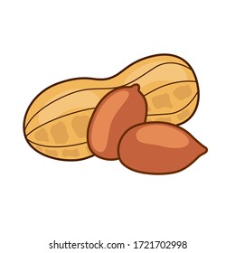 Peanut isolated on white background. Colorful peanuts in flat style. Vector illustration. Abstract symbol organic food.